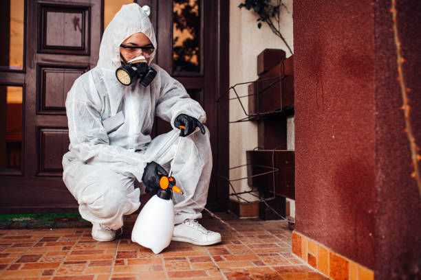 Reliable Ant Control contractor in Hobart, IN by Nex Pest Control